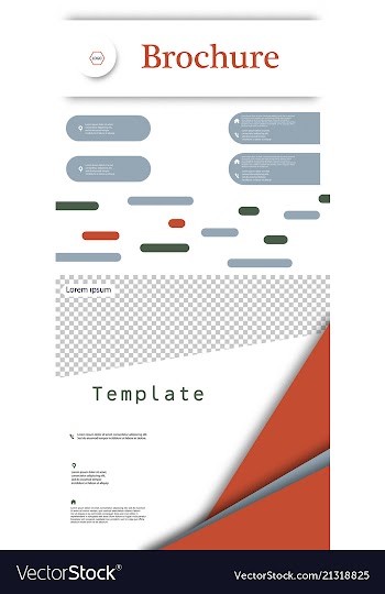 Set of business brochure flyer design layout vector image