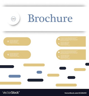 Set of business brochure flyer design layout vector image