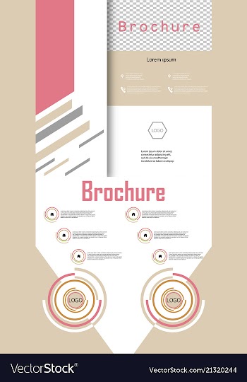 Set of business brochure flyer design layout vector image