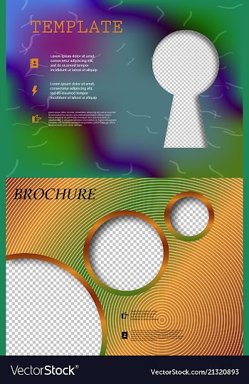 Set of business brochure flyer design layout vector image