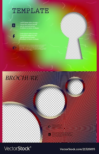 Set of business brochure flyer design layout vector image