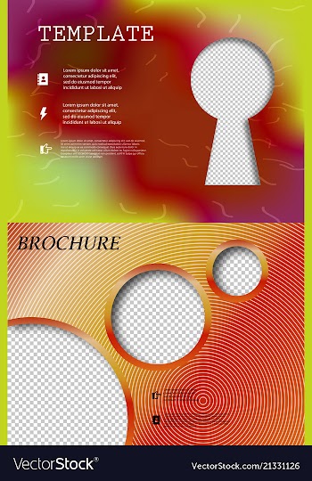 Set of business brochure flyer design layout vector image