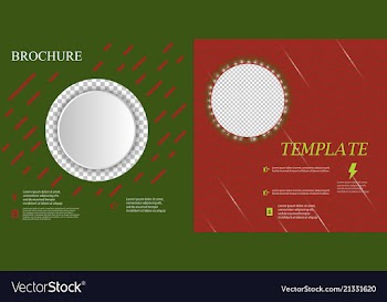 Set of business brochure flyer design layout vector image