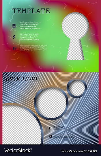 Set of business brochure flyer design layout vector image