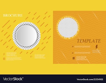 Set of business brochure flyer design layout vector image