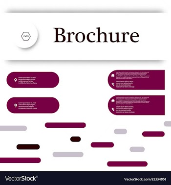 Set of business brochure flyer design layout vector image