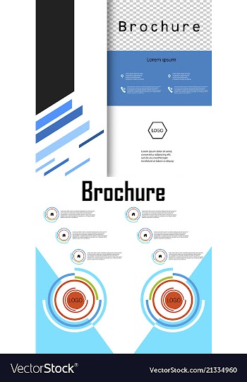 Set of business brochure flyer design layout vector image
