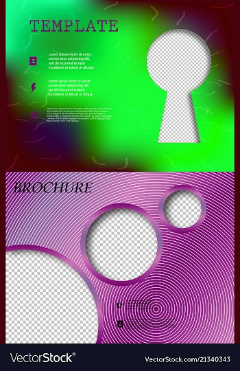 Set of business brochure flyer design layout vector image
