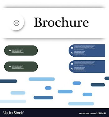 Set of business brochure flyer design layout vector image