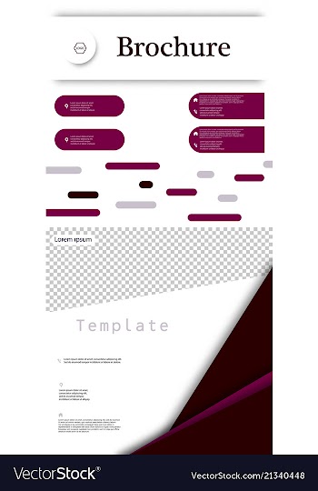 Set of business brochure flyer design layout vector image