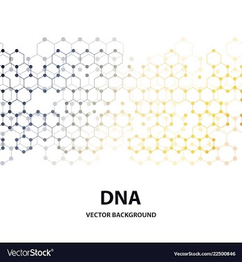 Set of business templates for brochure flyer or vector image