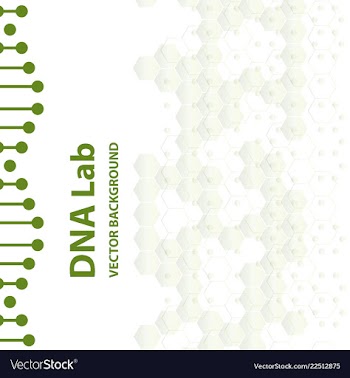 Set of business templates for brochure flyer or vector image