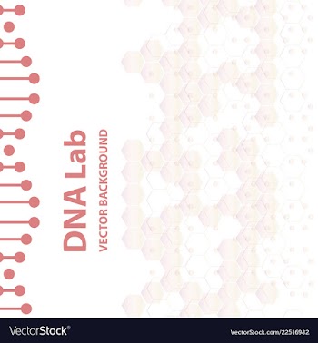 Set of business templates for brochure flyer or vector image