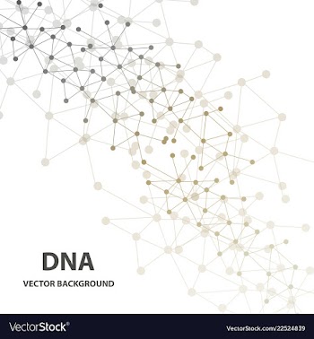 Set of business templates for brochure flyer or vector image