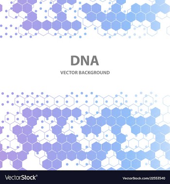 Set of business templates for brochure flyer or vector image