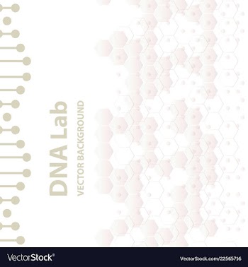 Set of business templates for brochure flyer or vector image
