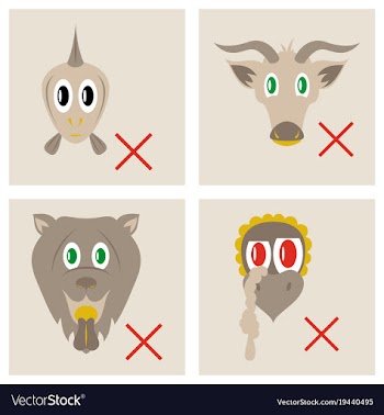 Set of butchery logo templates farm animals vector image
