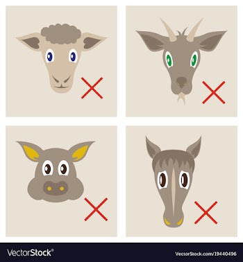 Set of butchery logo templates farm animals vector image