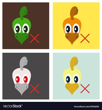 Set of chicken bird engraving drawn flat vector image