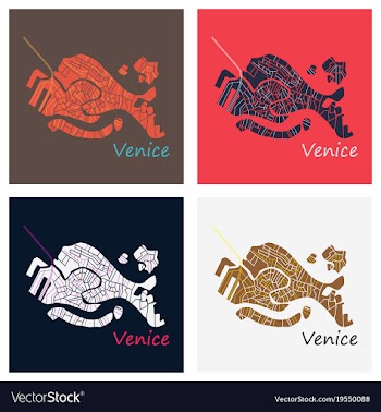 Set of city map of venice with well organized vector image