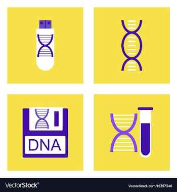Set of clinical icons medical equipment on the vector image