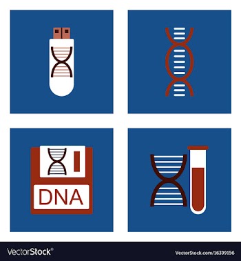 Set of clinical icons medical equipment on the vector image