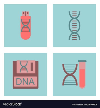 Set of clinical icons medical equipment on the vector image