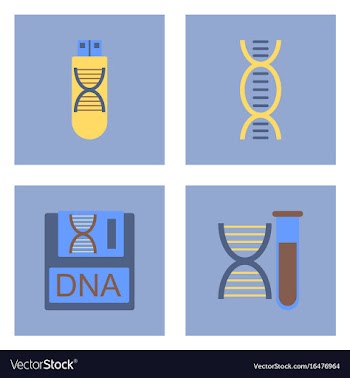 Set of clinical icons medical equipment on the vector image