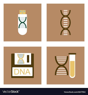Set of clinical icons medical equipment on the vector image