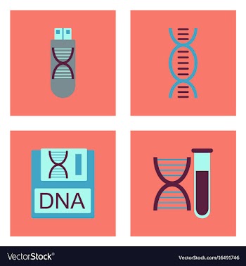 Set of clinical icons medical equipment on the vector image