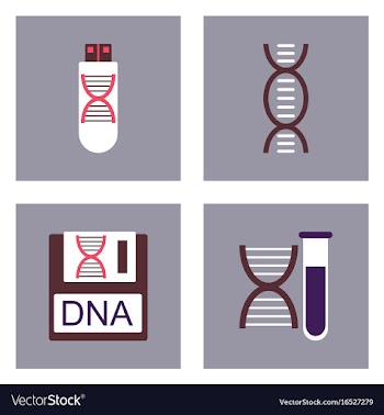 Set of clinical icons medical equipment on the vector image