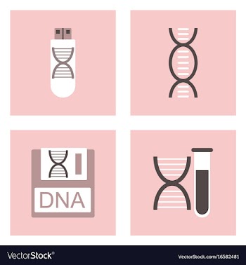 Set of clinical icons medical equipment on the vector image
