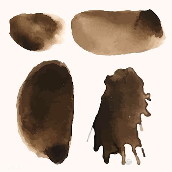 Set of coffee splatter stain vector | Free stock vector - 511532