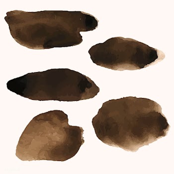 Set of coffee splatter stain vector | Free stock vector - 511535