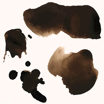 Set of coffee splatters vector | Free stock vector - 511533