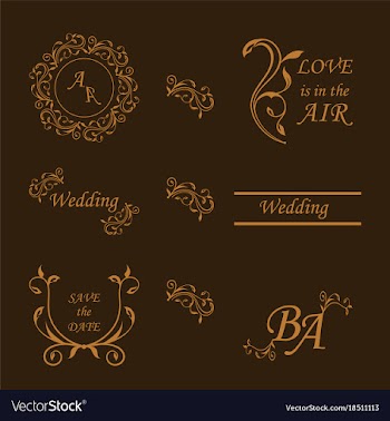 Set of decorative calligraphic elements floral vector image