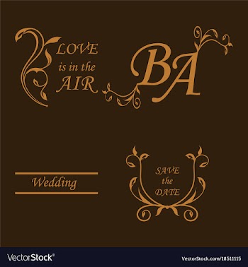 Set of decorative calligraphic elements floral vector image