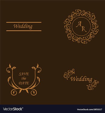 Set of decorative calligraphic elements floral vector image