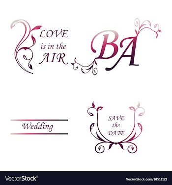 Set of decorative calligraphic elements floral vector image