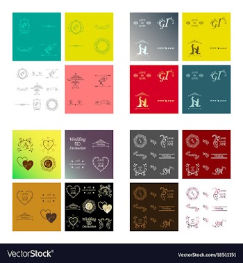 Set of decorative calligraphic elements floral vector image