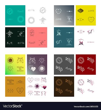 Set of decorative calligraphic elements floral vector image