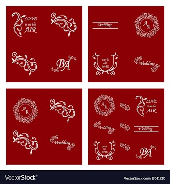 Set of decorative calligraphic elements floral vector image