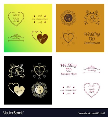 Set of decorative calligraphic elements floral vector image