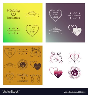 Set of decorative calligraphic elements floral vector image