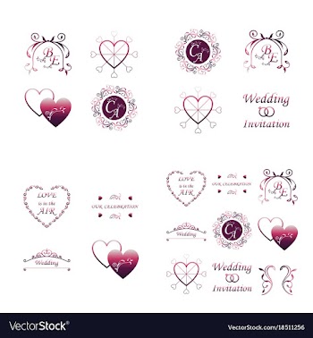 Set of decorative calligraphic elements floral vector image