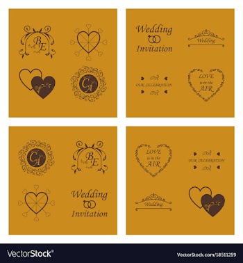Set of decorative calligraphic elements floral vector image