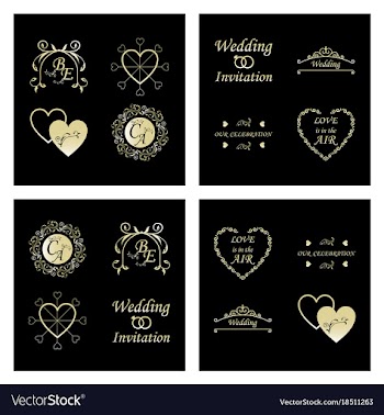 Set of decorative calligraphic elements floral vector image