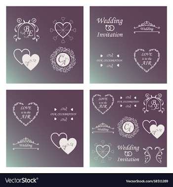 Set of decorative calligraphic elements floral vector image