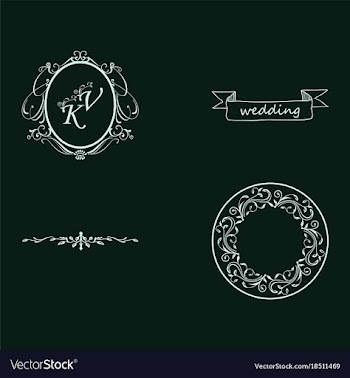 Set of decorative calligraphic elements floral vector image