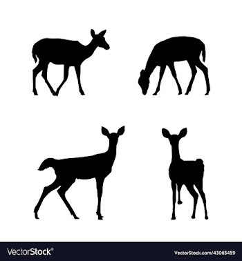 set of deer silhouettes in different poses